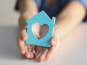 what to expect when adopting